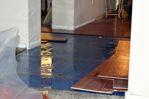 Professional Burst Pipe Cleanup technician working in Shepherd, MI